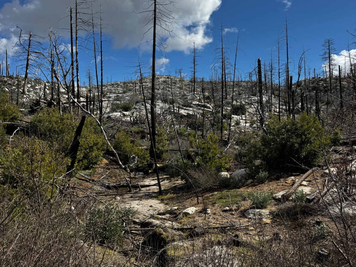 Cross Up trail photo