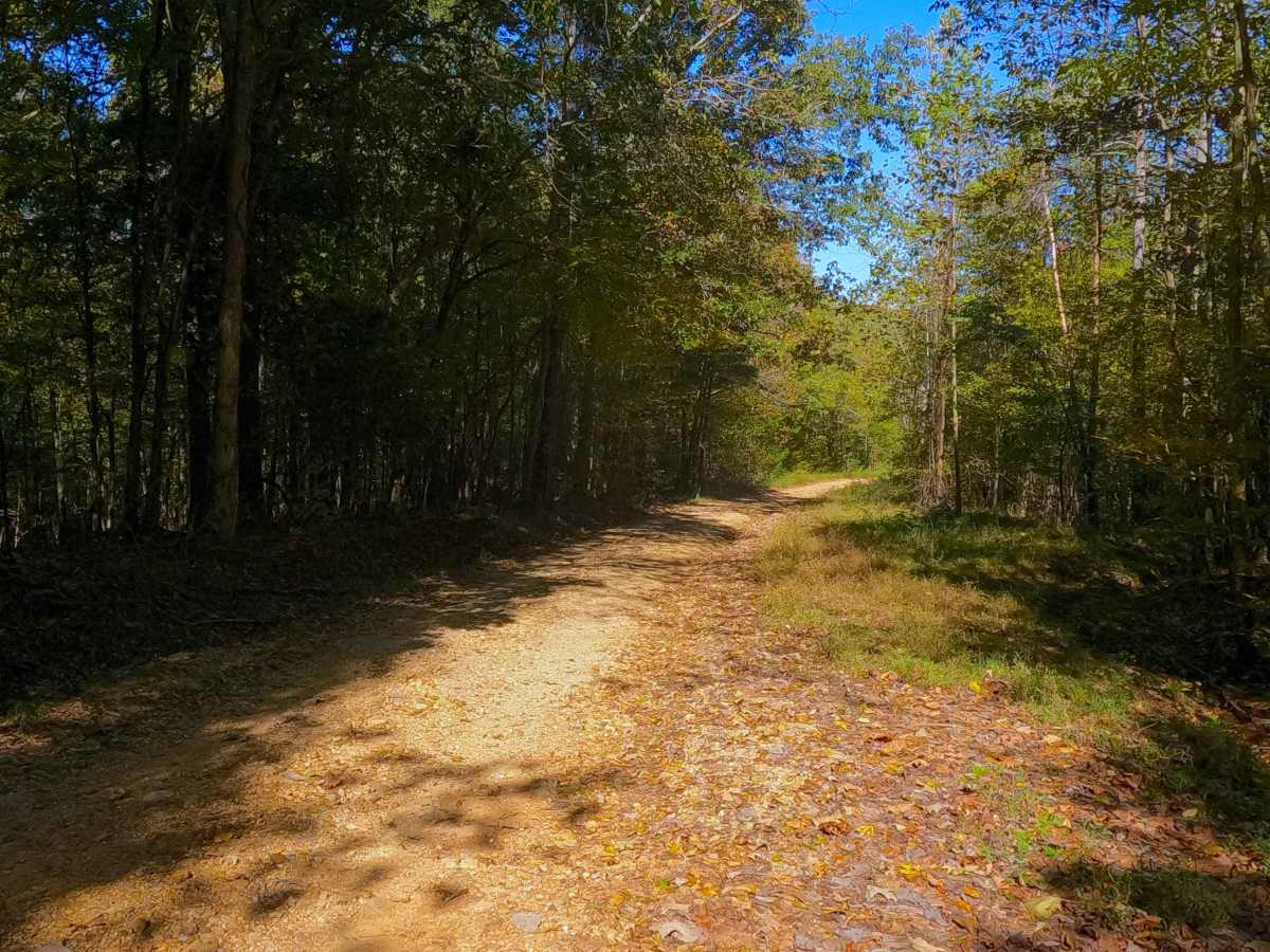 Shaw Branch - FS 154 photo 6