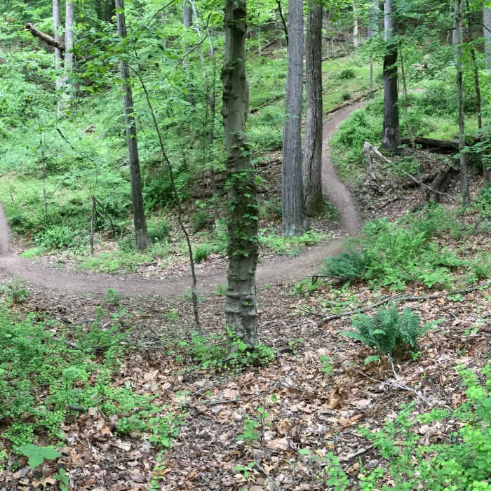 Near Pleasantville Area Loop