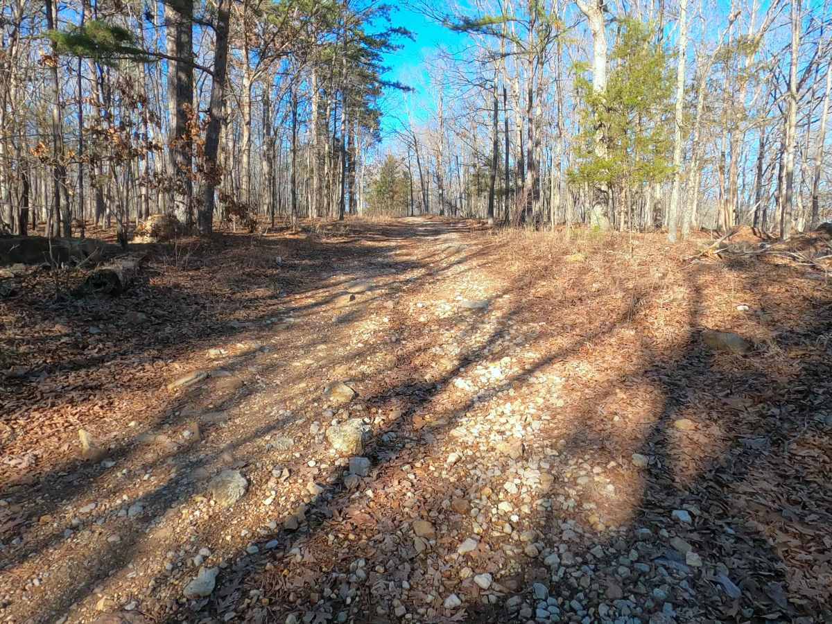 Sutton Bluff ATV 6 - SB 6 photo 3