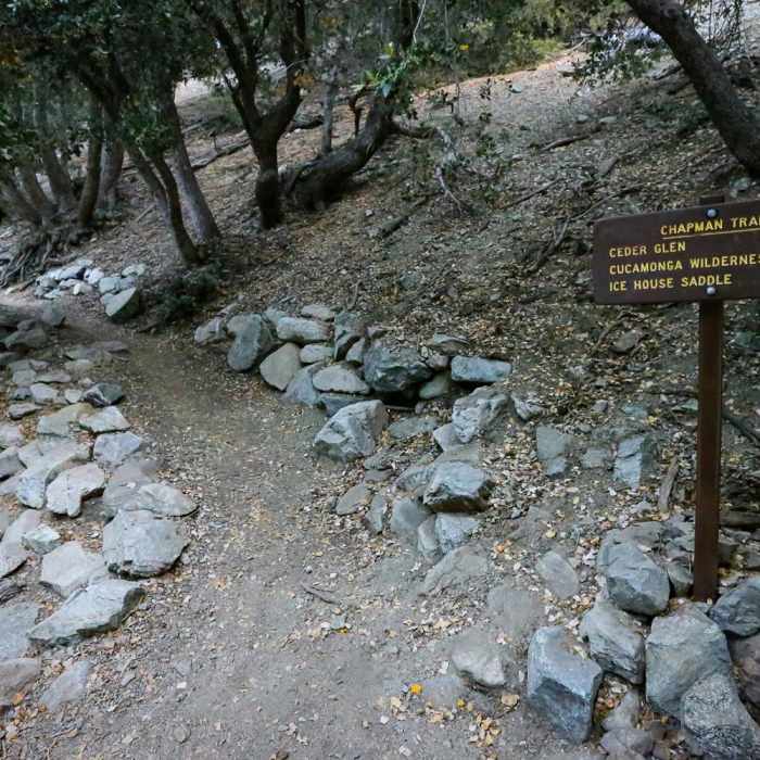 Near Icehouse Saddle via Chapman Trail