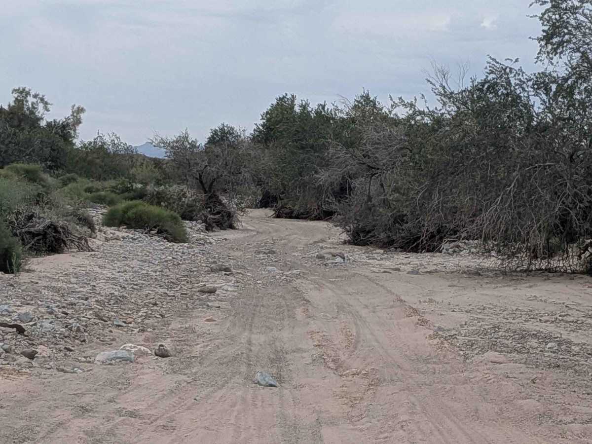 EC1235 trail photo