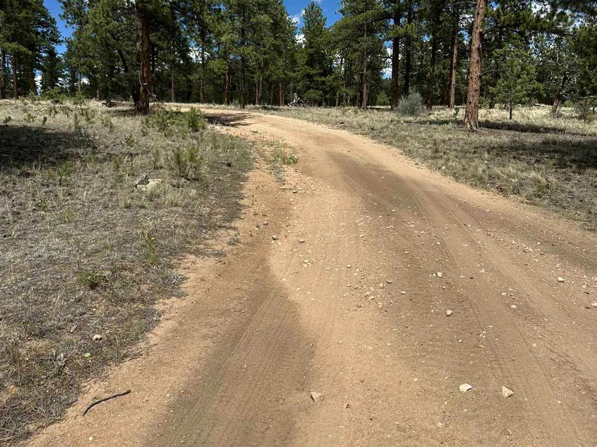 Hathaway Road trail photo
