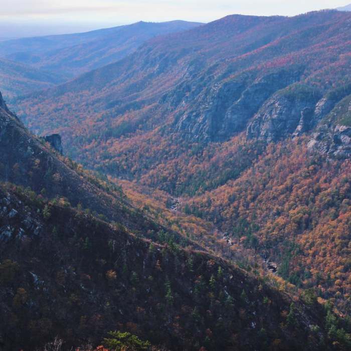 Near Table Rock near the Linville Gorge Wilderness Near Table Rock near the Linville Gorge Wilderness