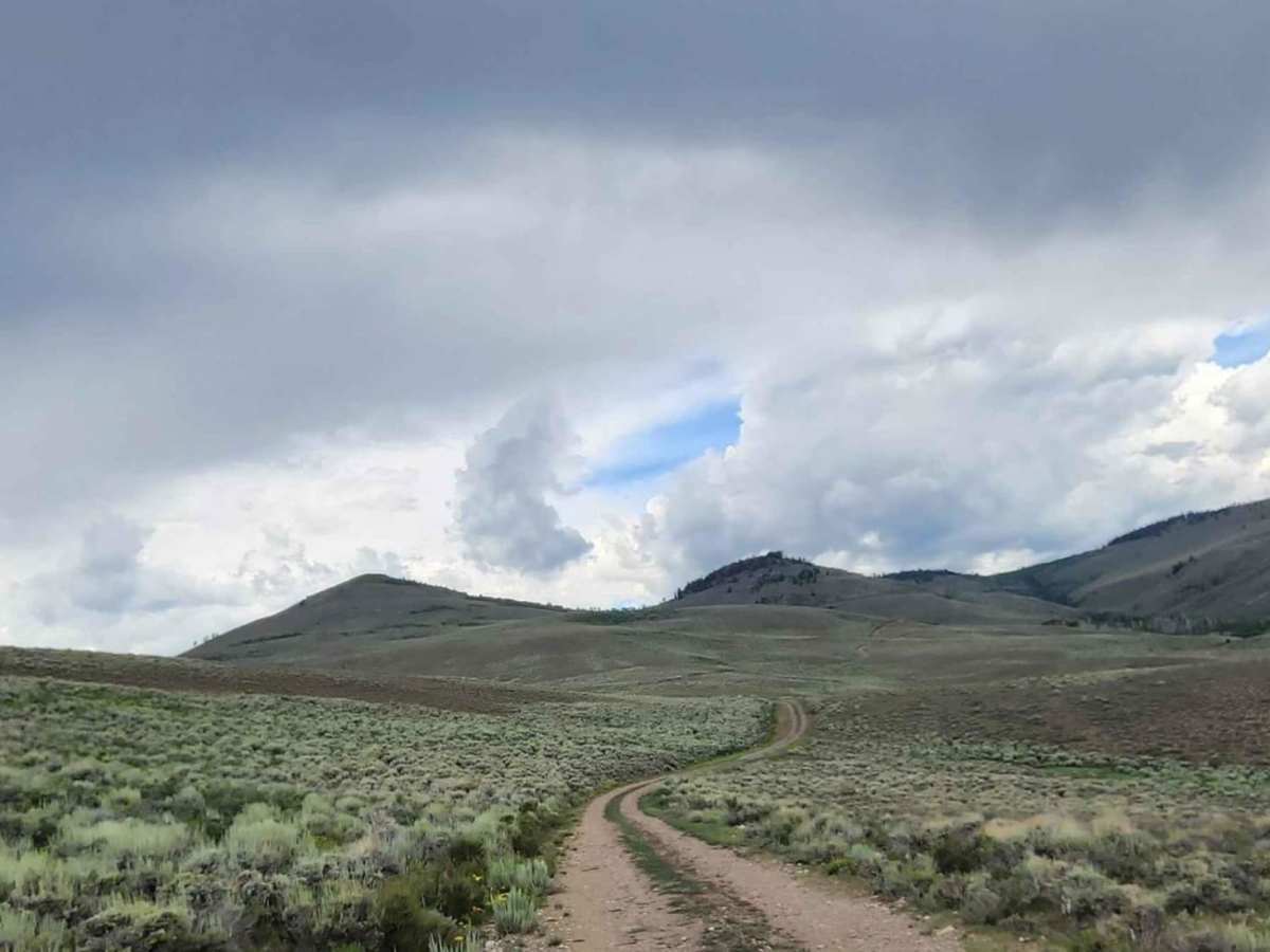 Steers Gulch Road trail photo