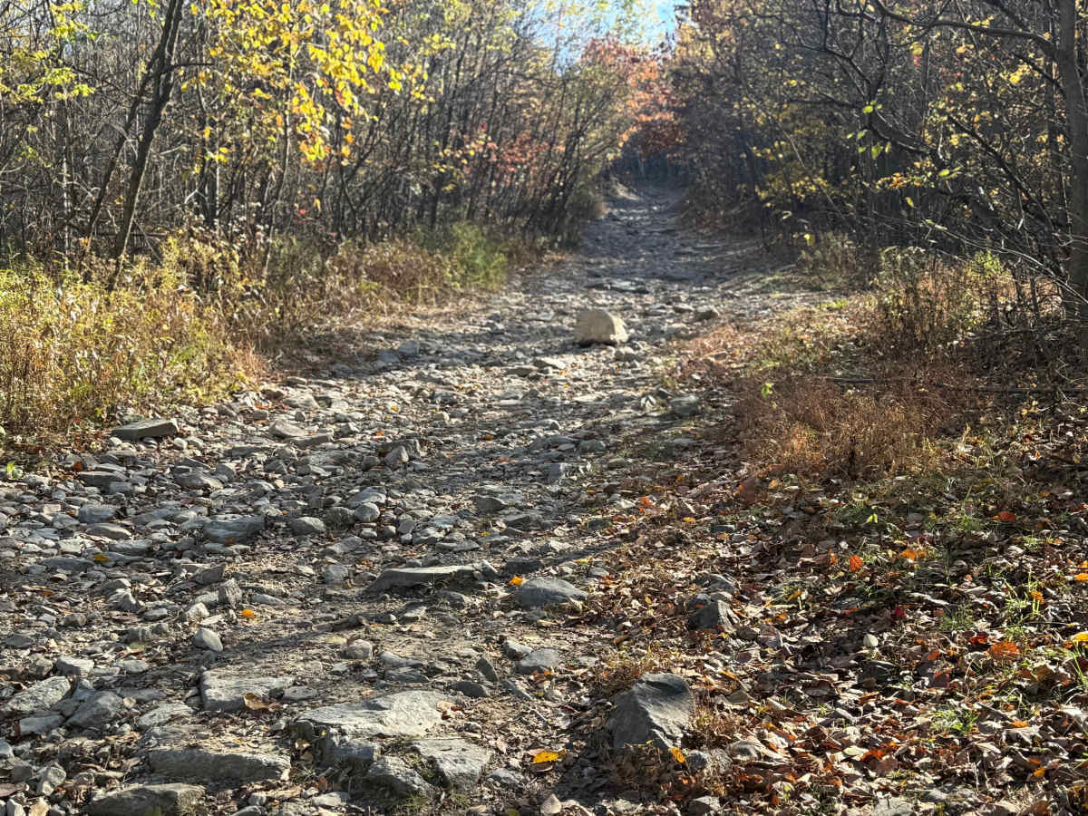 Trail 4 photo 6