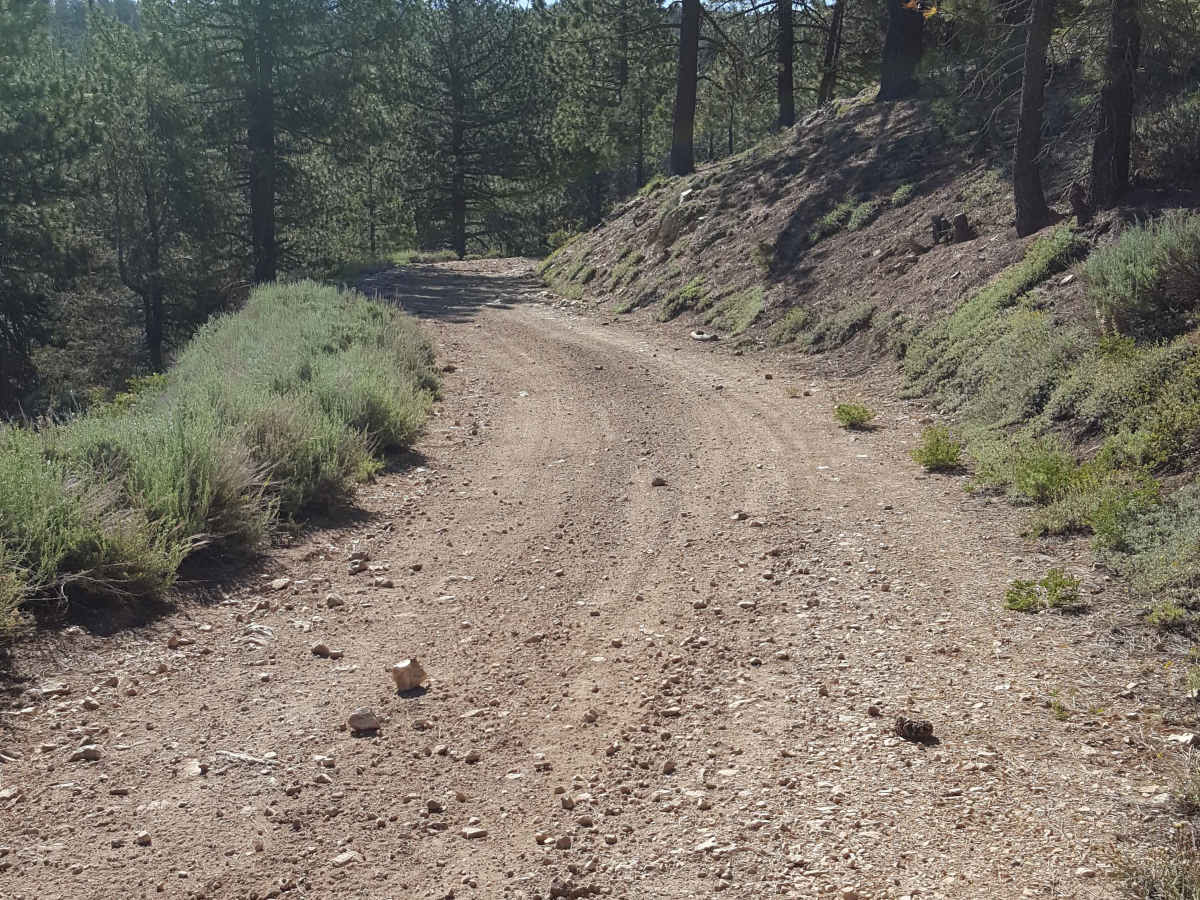 East Frazier Road - FS 8N24 photo 4