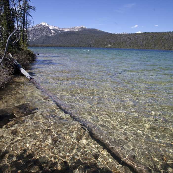 Near Yellow Belly Lake