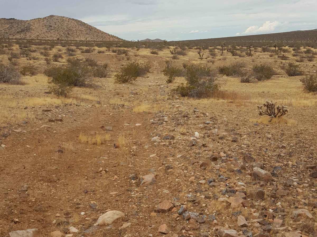 Outback Trail photo 4