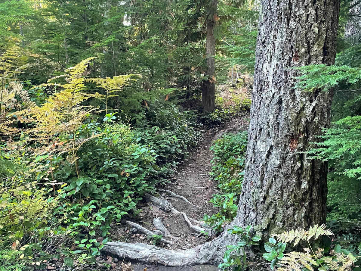 Hayden's Trail Connector photo 2