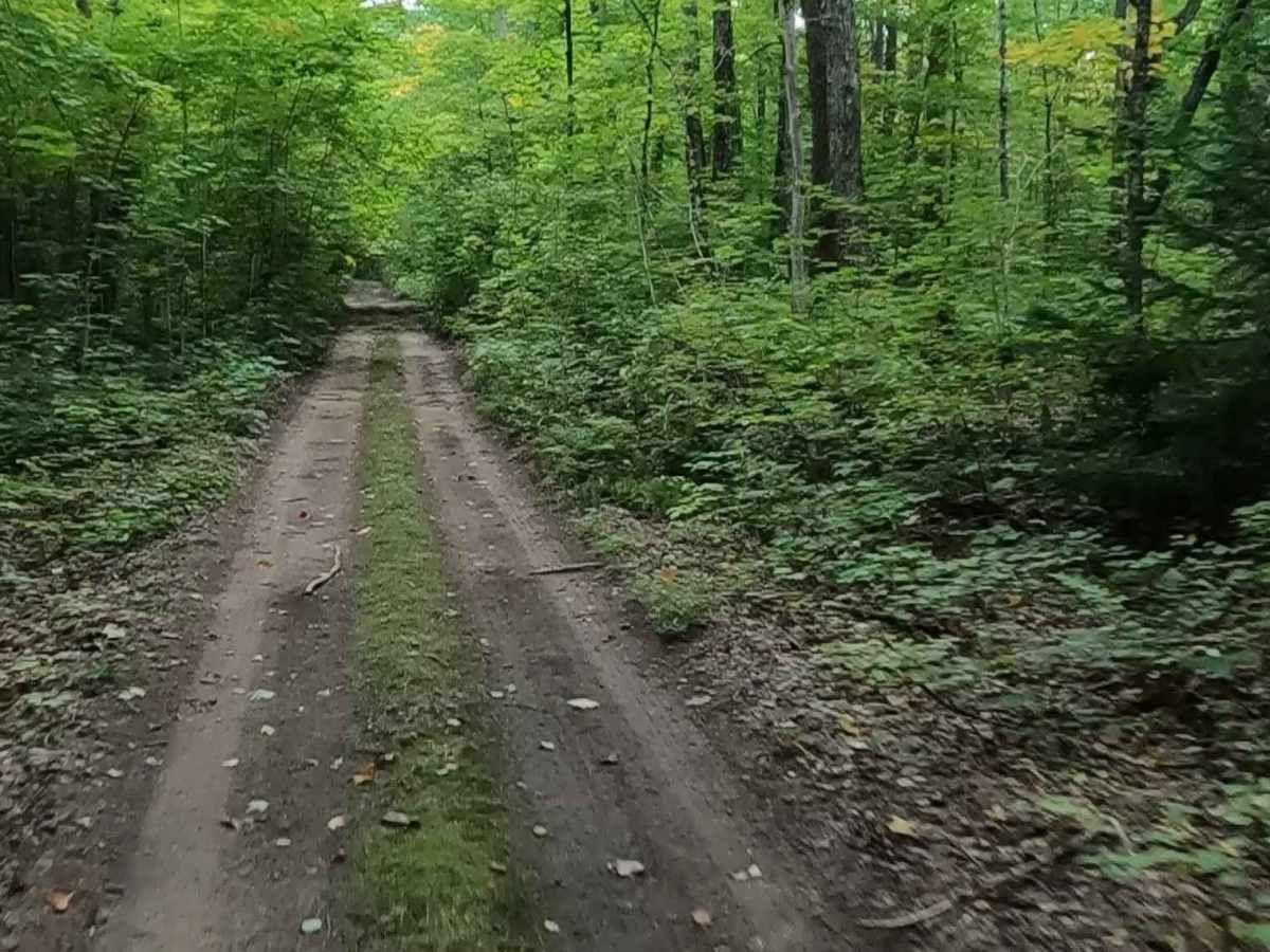 Rhody Creek Truck Trail/County Road 743 - FS 3080 photo 6