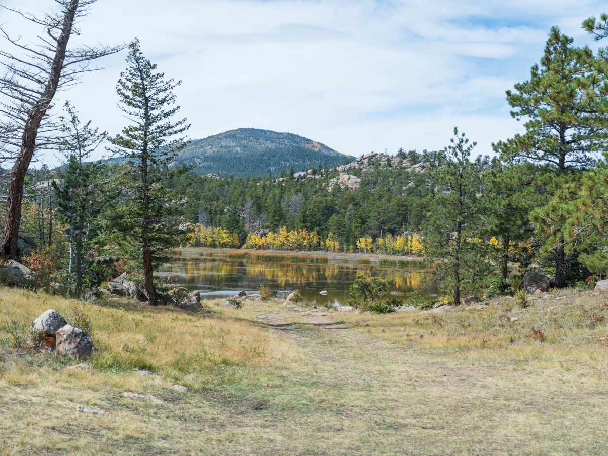 Chicken Park - FS 181 trail photo