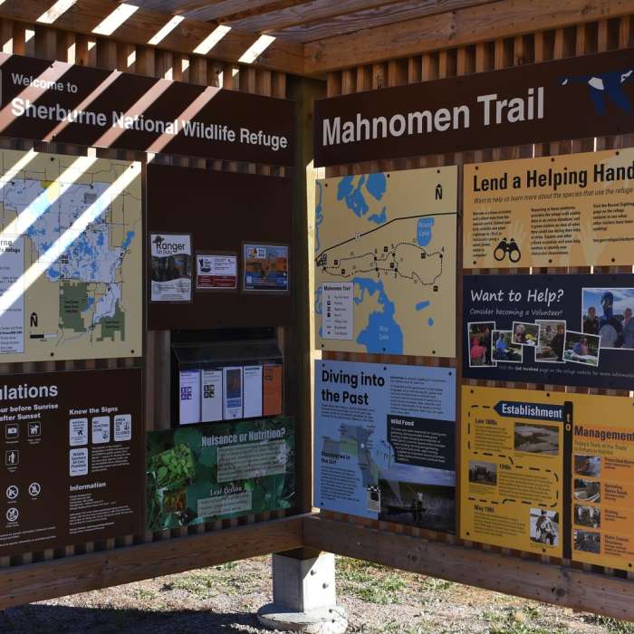 Near Mahnomen National Recreation Trail Near Mahnomen National Recreation Trail