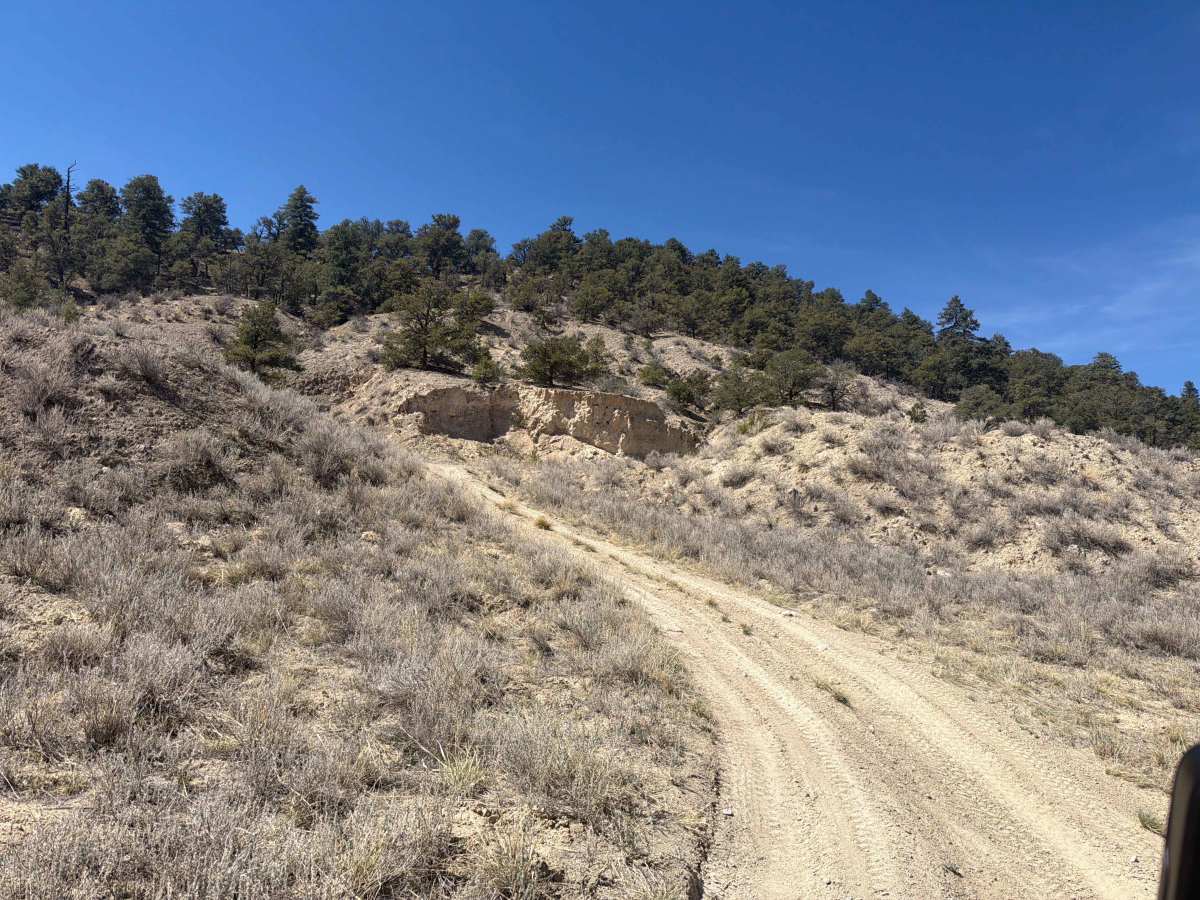 BLM 5965A photo 5