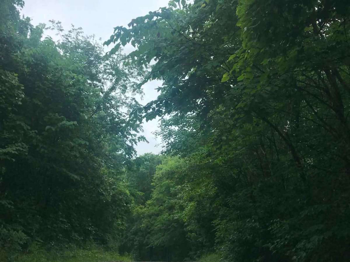 Texas Hollow  photo 6