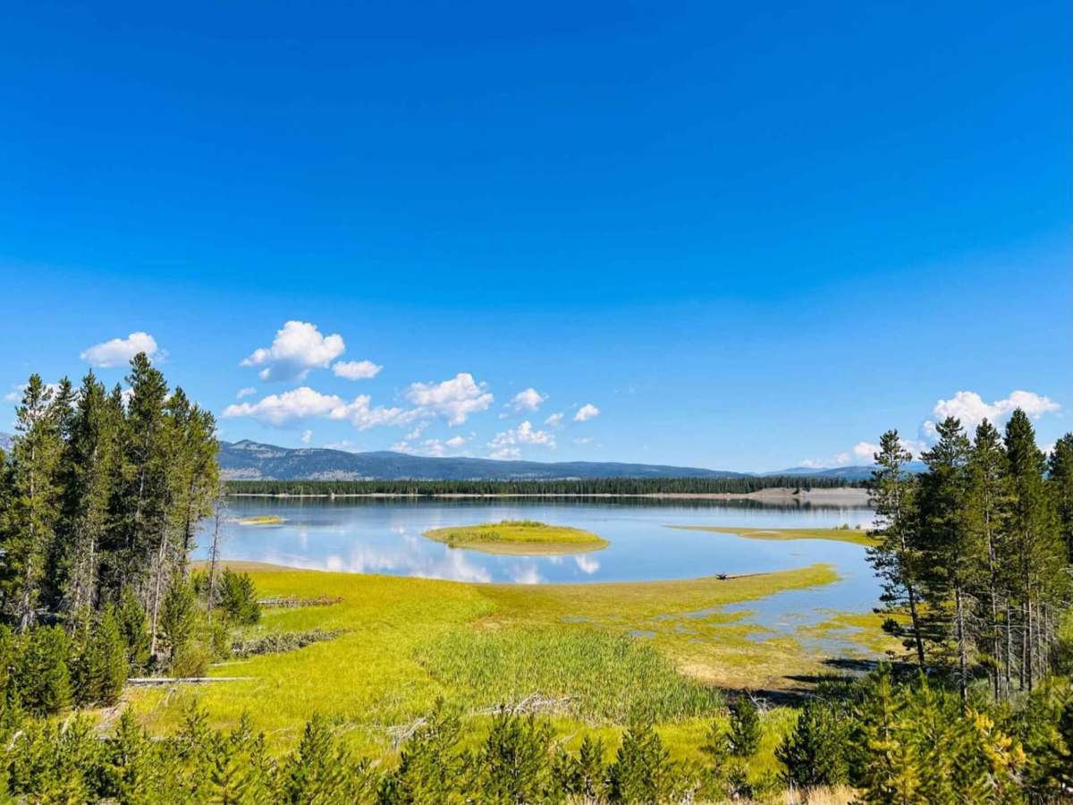 Madison Arm trail photo
