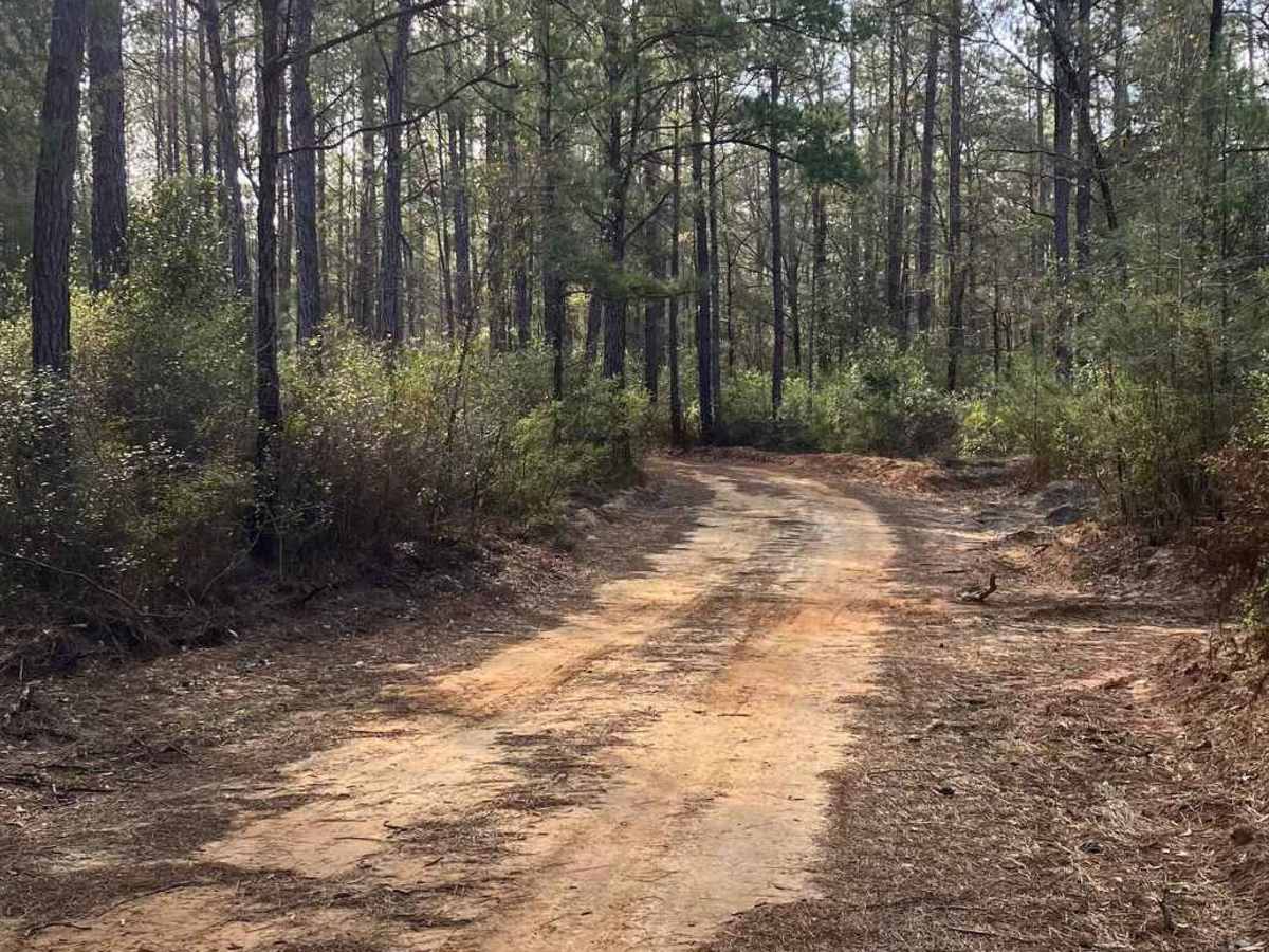 SR 119 photo 2