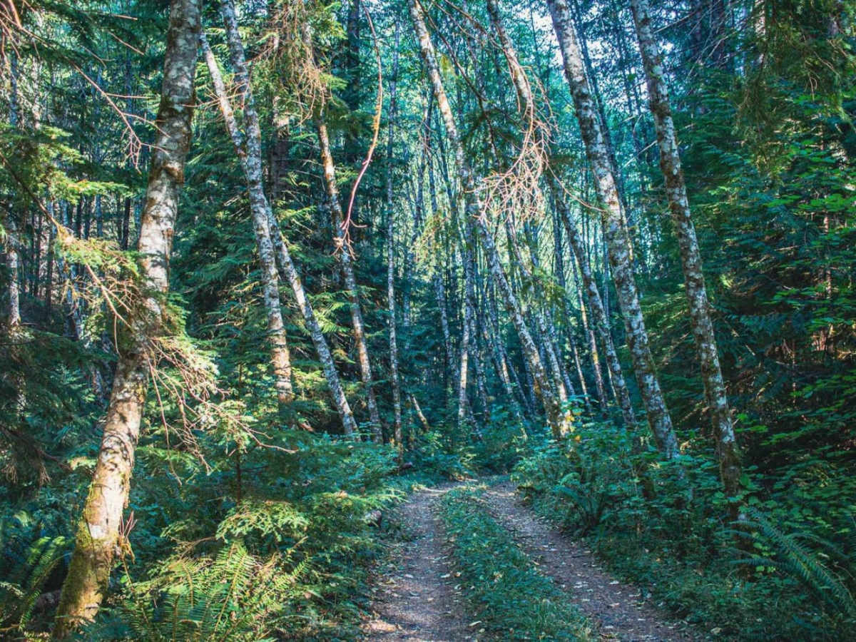 Judd Peak photo 6