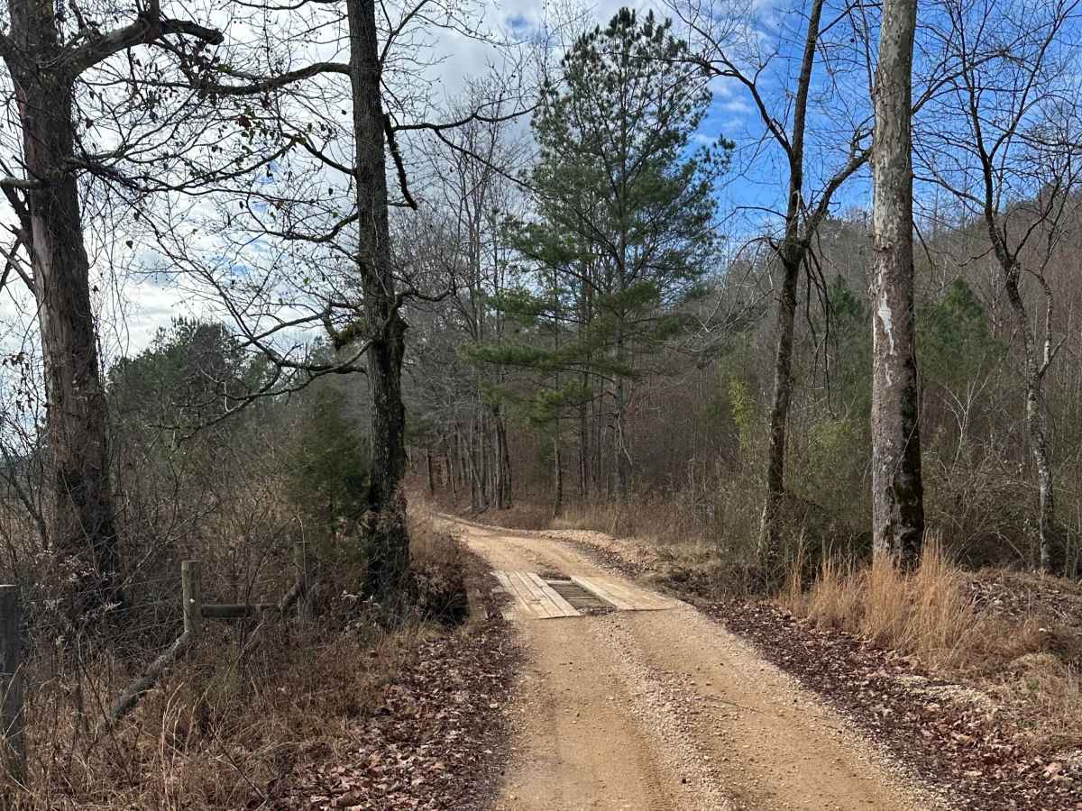 County Road 223 photo 5