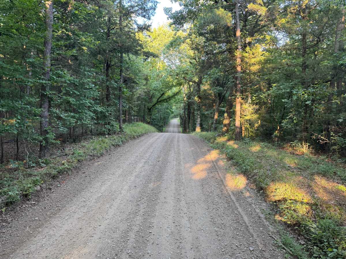 County Road 4320 trail photo