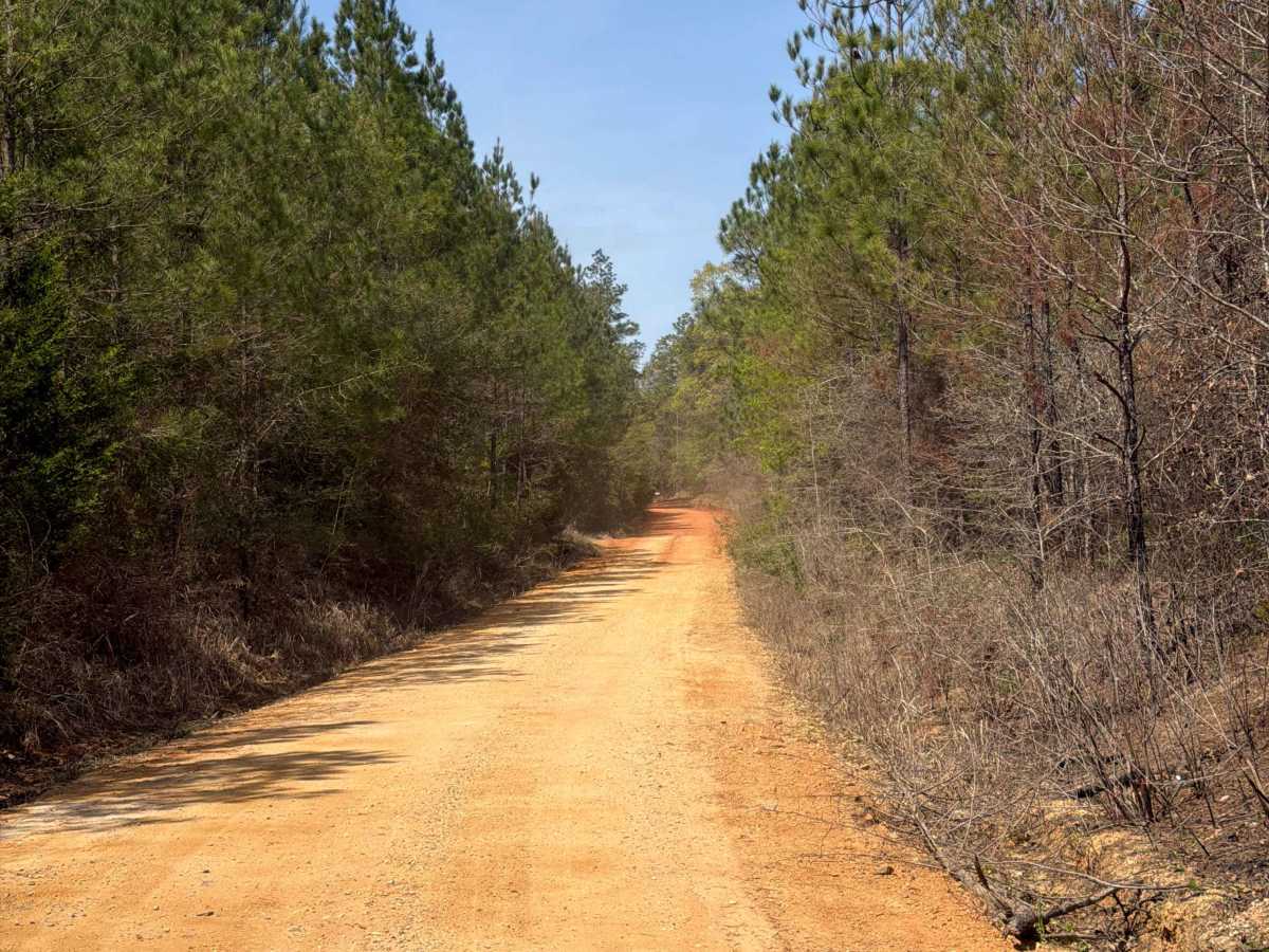 Overstreet Road photo 5
