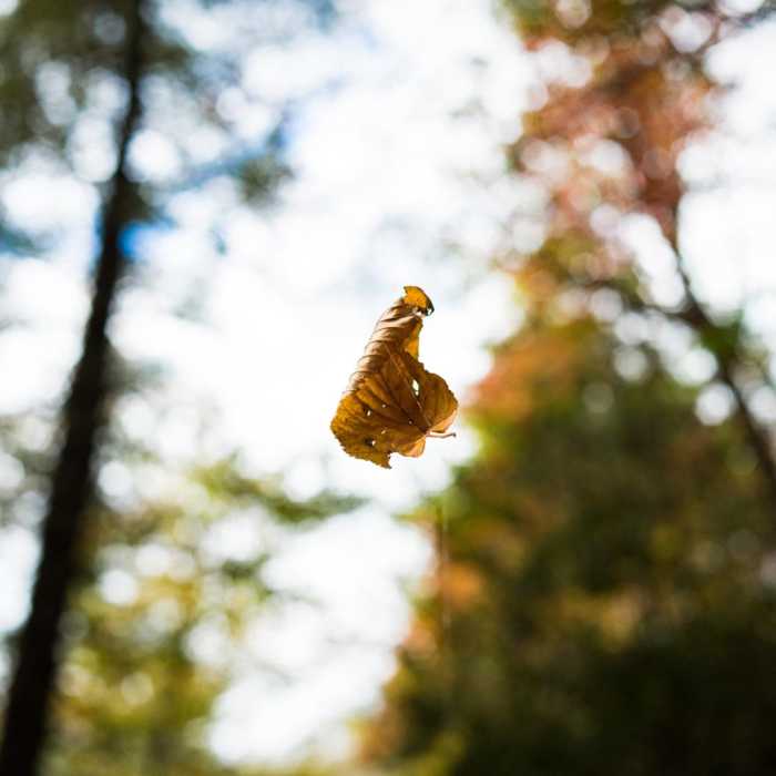 Near Pink Beds Loop Near Pink Beds Loop