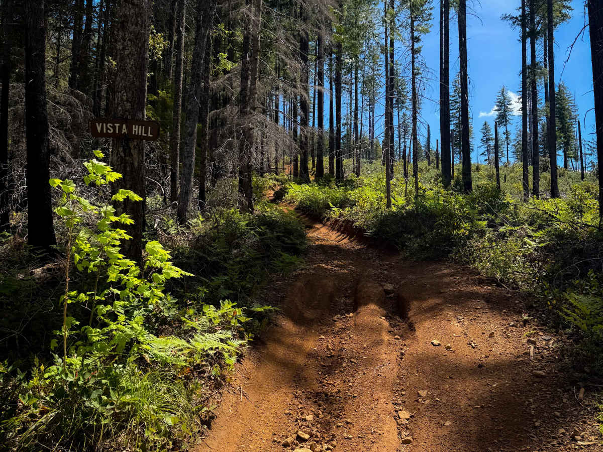 106 trail photo