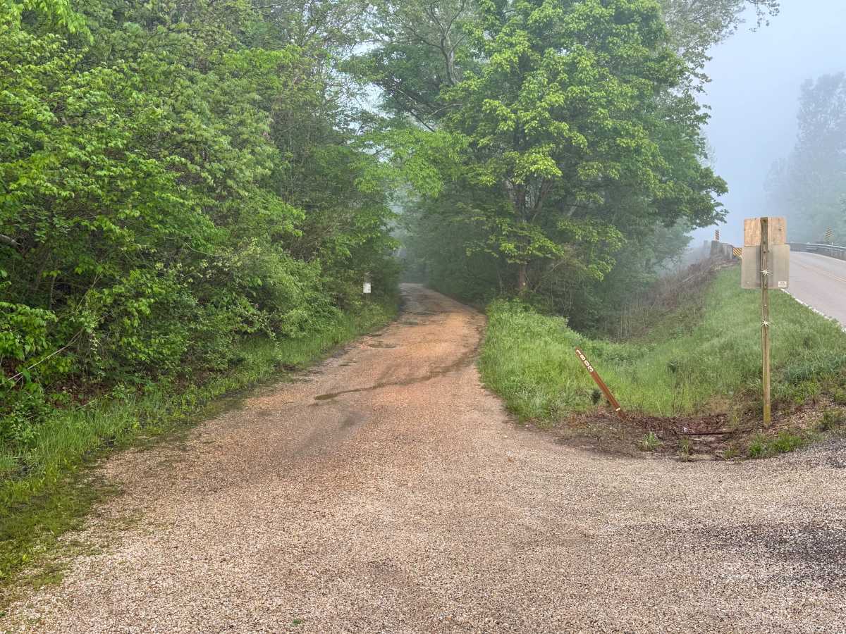 Spring Creek - FS 1803 trail photo