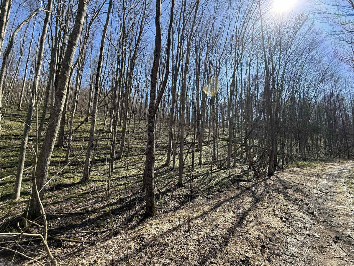 W26 trail photo