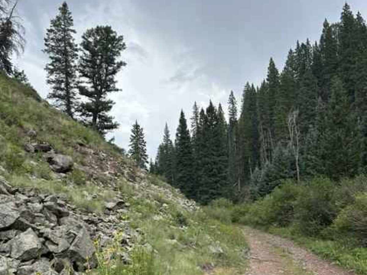 Scotch Creek - FS 550 photo 3
