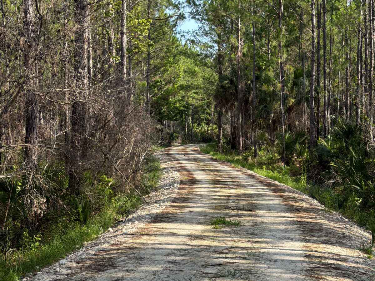 Dexter Point Road photo 3
