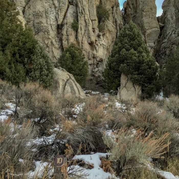 Near Geological Interpretive Trail Near Geological Interpretive Trail