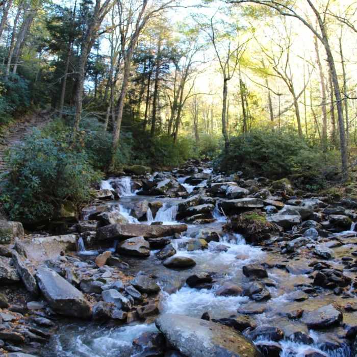 Water roaring over the rocks. Near Chimney Tops Trail