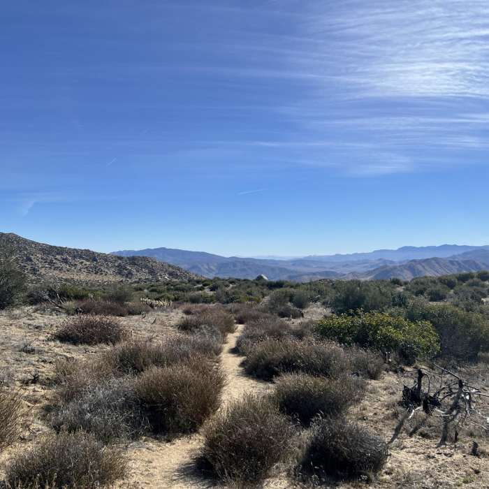 Near Wilson Peak via Culp Valley