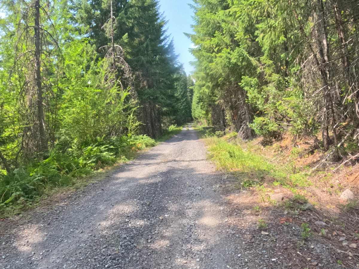 East Ofay - FS 2261405 photo 4