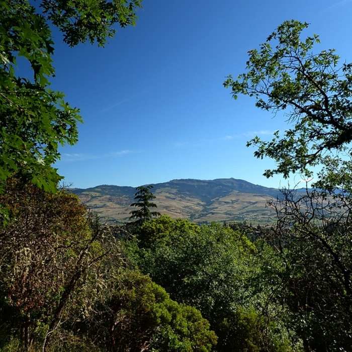 Near Lower Wonder Trail