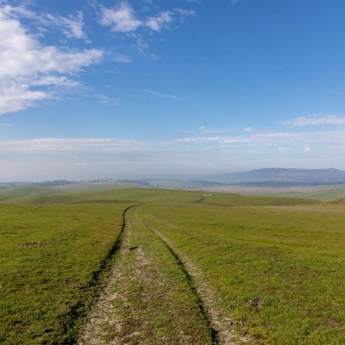 Near West Ridge Trail