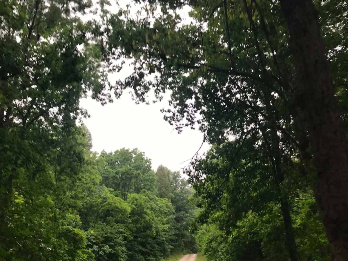 Paddle Creek  photo 6