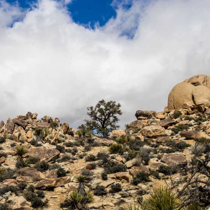 Near Eagle Cliff Mine Hike