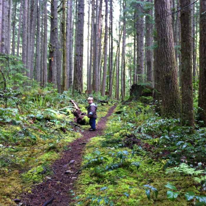 Near Talus Loop Trail