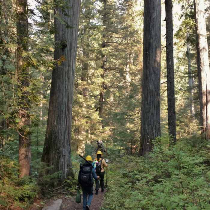 Near American Falls Out-and-Back