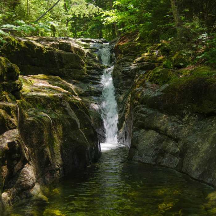 Near Gill Brook Trail