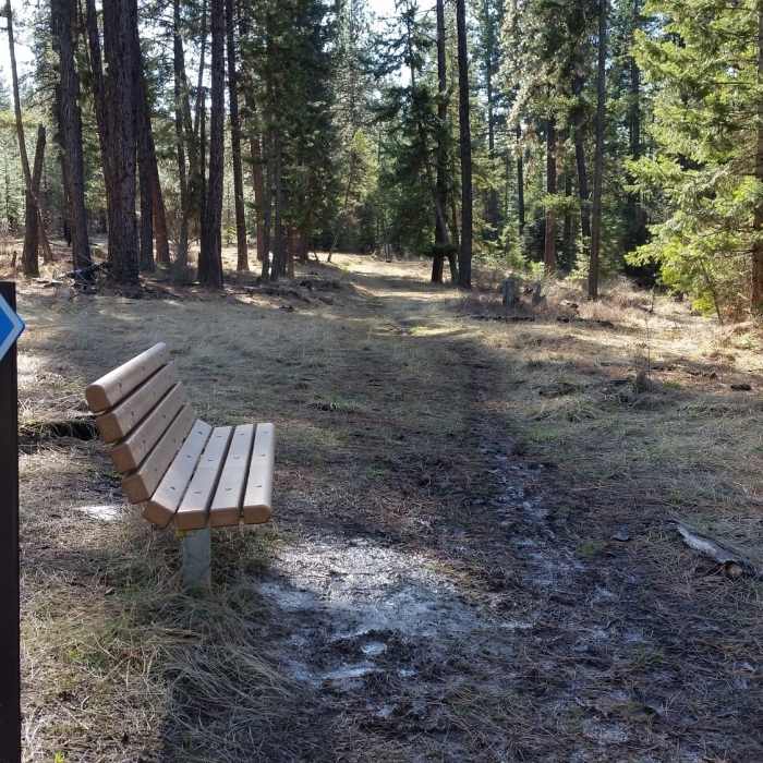 Near Blue Creek Bay Trail (Blue Trail)