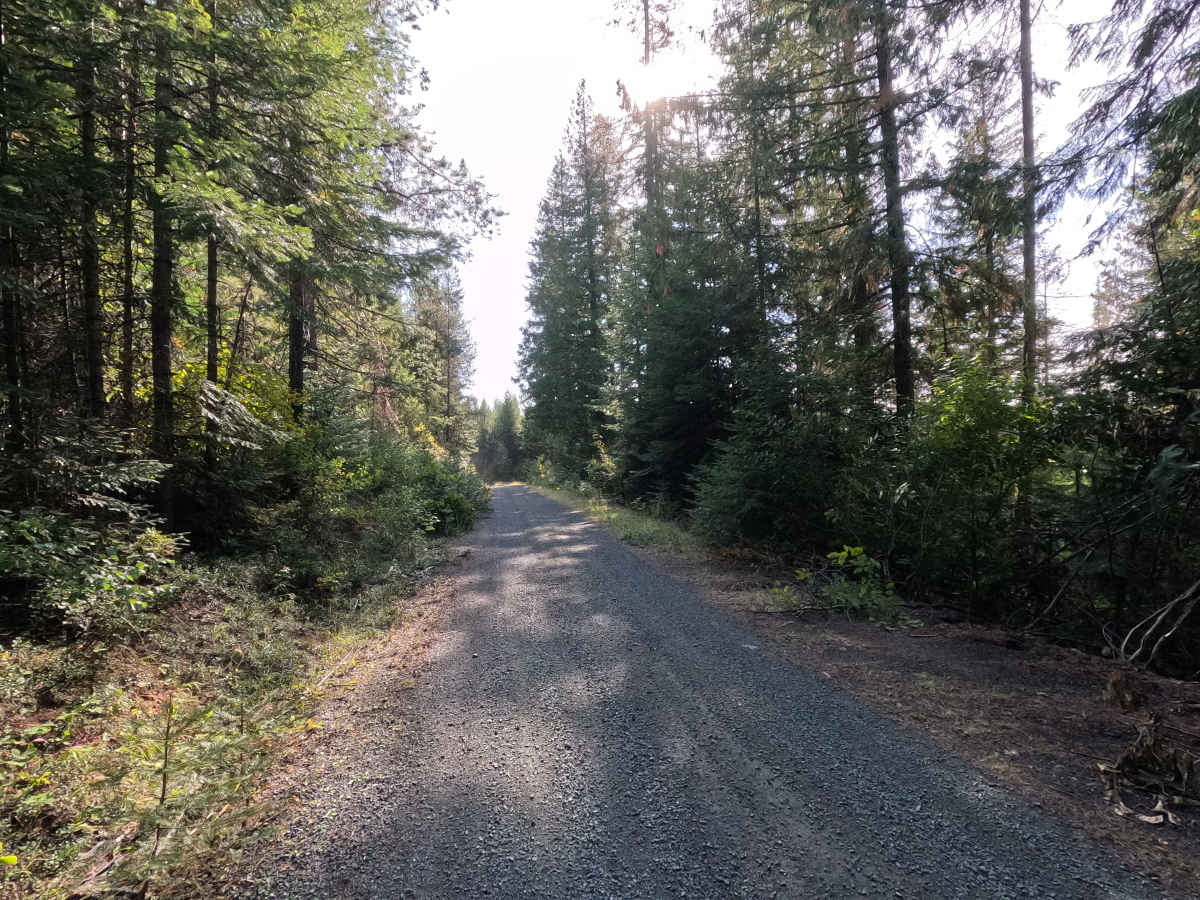 FS 7005530 photo 5