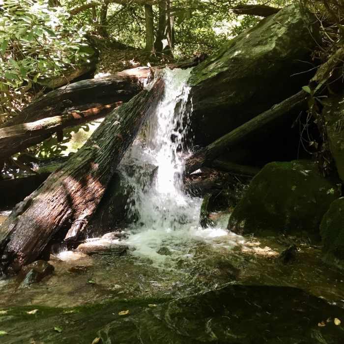Small waterfall Near Gully Creek Trail