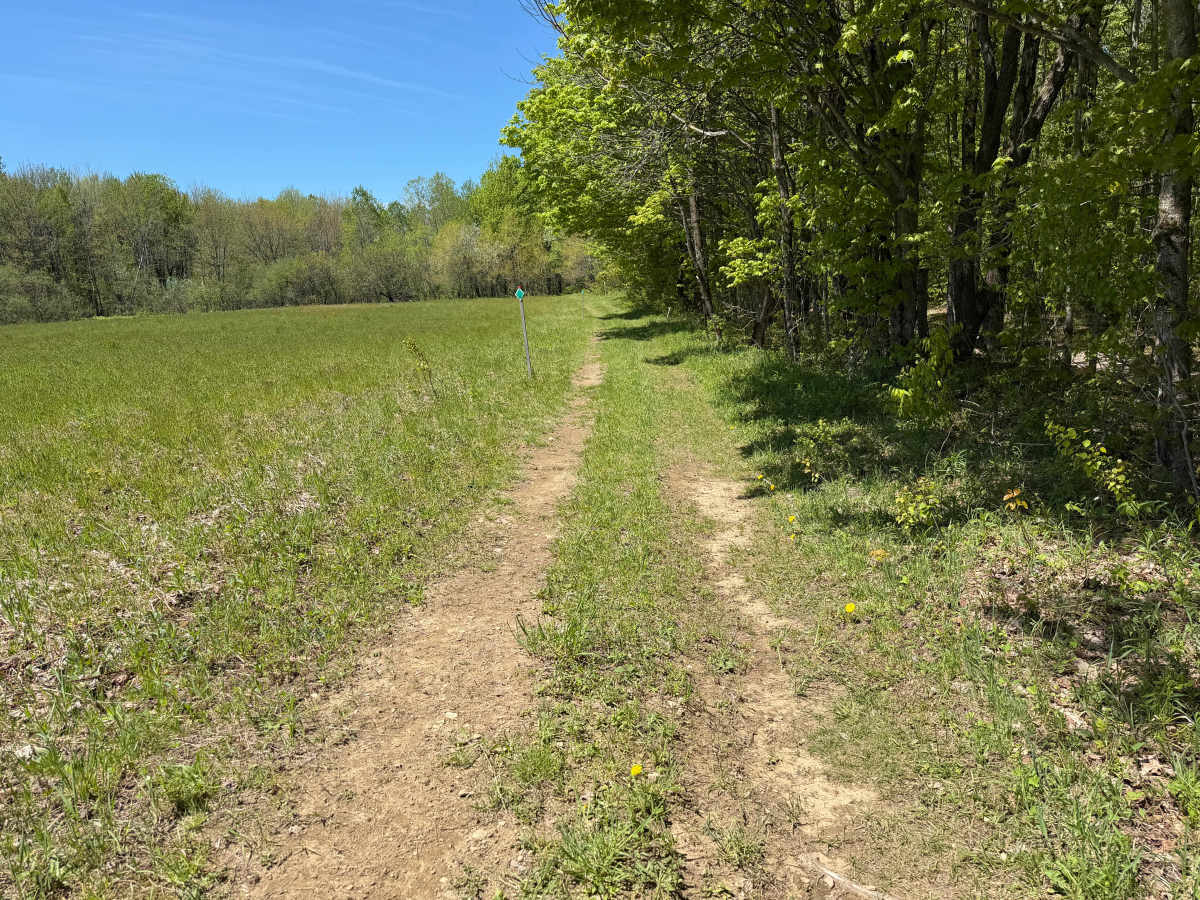 Pollock Run Trail photo 5