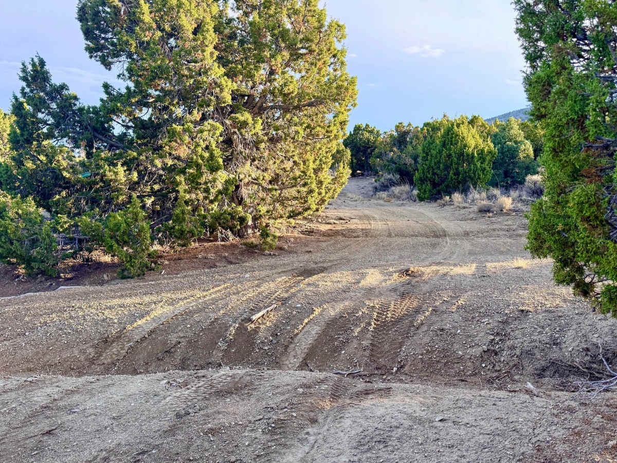 Warm Springs Southwest Loop - FS 17546 photo 2