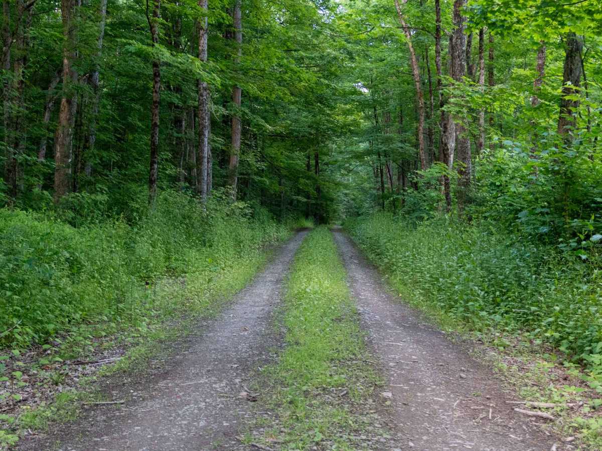 Truck Trail 3 trail photo