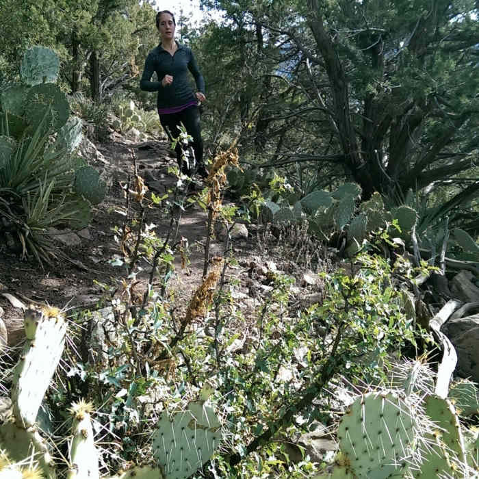 Near Wilson Canyon Trail
