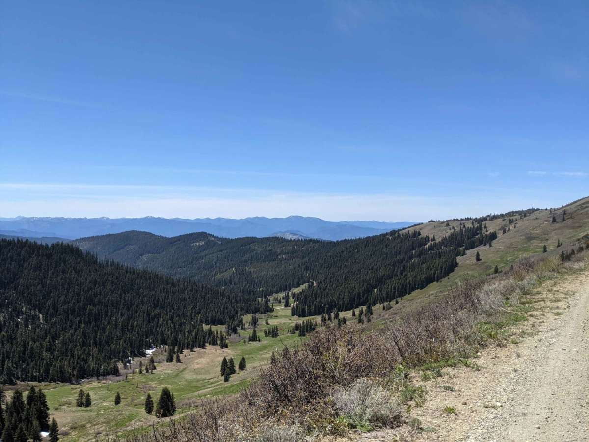 Wagner & Siskiyou photo 3
